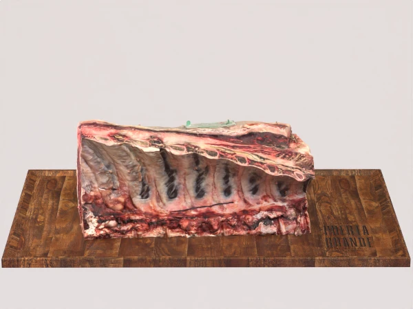 Chuletero (8 Costillas)